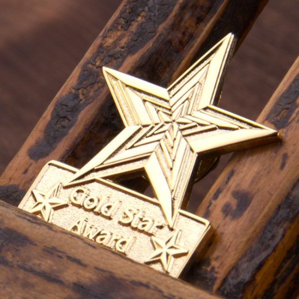Gold Star Award Lapel Pin