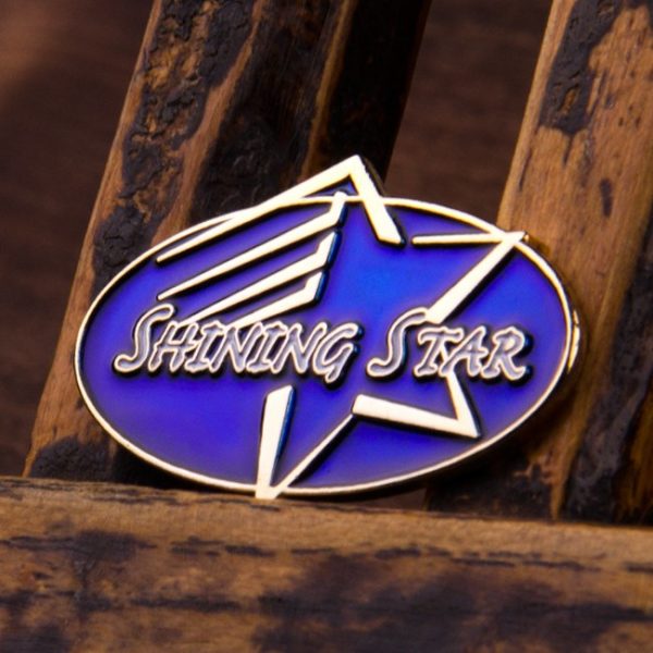 Shining Star Achievement Pin