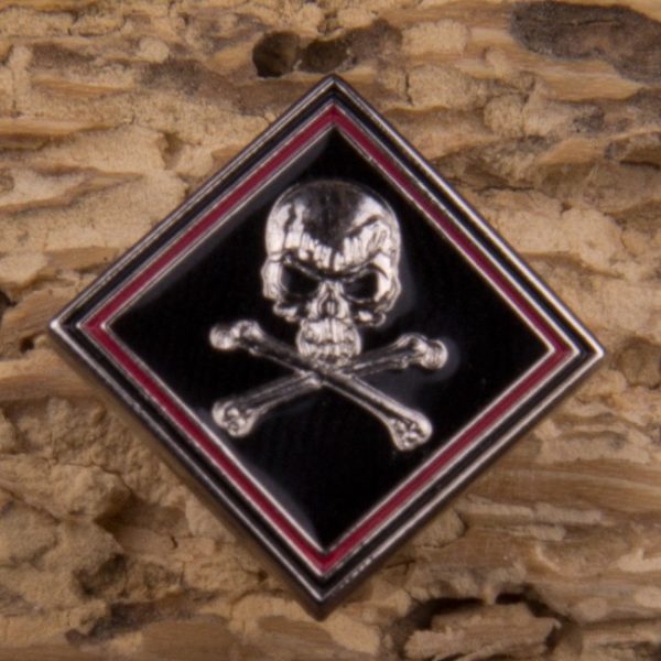 Skull and Crossbones Lapel Pin