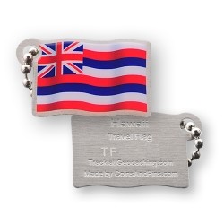 Travel Flag Hawaii