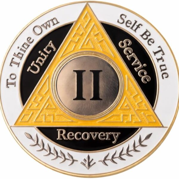 AA Coin - 2 Year - Orange White Black