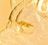 e9f3ee8284e53a4beb80222d254902ff